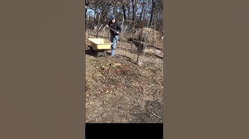 Spreading Bio Char on the garden #garden #gardeningtips #mulch