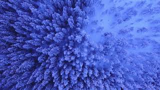 Beautiful Winter Scenes ~ Amazing Nature Scenery \& The Best Relax Music