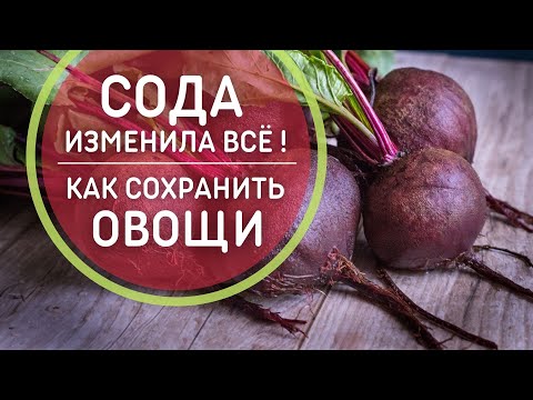 Soda pasikeitė VISKAS BE Runkelių ir morkų laikymas žiemai 🥕 Puikus būdas laikyti daržoves