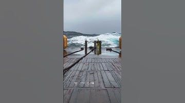 SeaOfSavage | The Ocean Unleashed 🌊⚡#seaofsavage #shorts #ocean #sea #scary #waves #storm #highseas