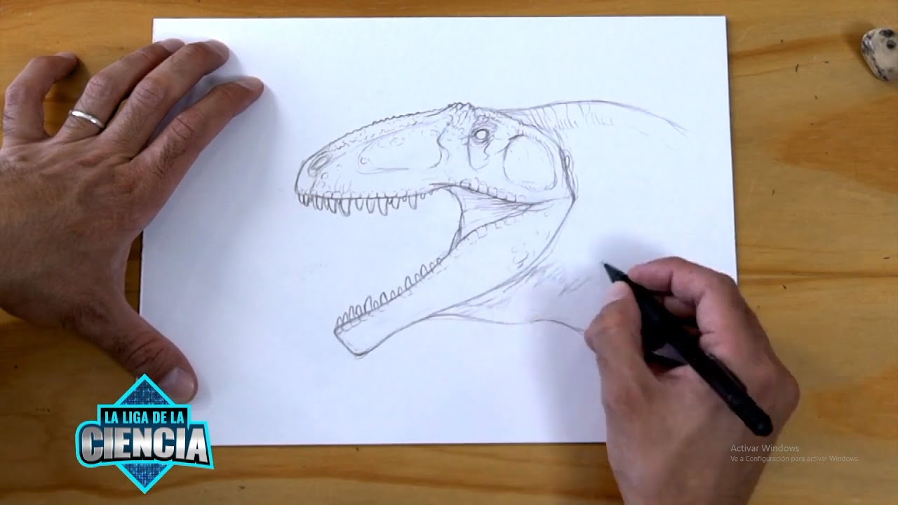 Ciencia en casa: Giganotosaurus - thptnganamst.edu.vn