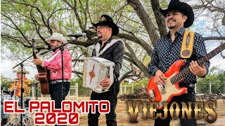 Video thumbnail of "El Palomito Los Viejones de Linares"