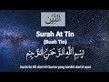 Al quran merdu surat at tin 41x  al quran surah at tiin 41x repeat 