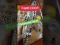 Герб СССР с пограничного столба