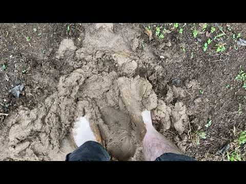 autism tactile sensory fun moving my feet and toes in mud