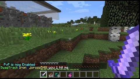 TDMinecraft2003 - Hacking TheArchon Factions Green