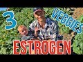 How to Reduce Bad Estrogen: Try these 3 Vegetables- Thomas DeLauer