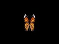 Gambar cover Butterfly Overlay