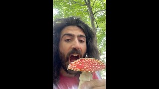 Mitigating LLM hallucinations paper breakdown