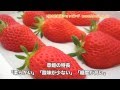 大粒イチゴ「章姫（あきひめ）」北海道の林農園