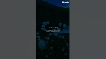 سوره العلق(اقرأ باسم ربك الذي خلق) #القرآن_الكريم #quran