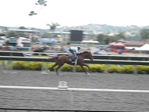 I'll Have Another - Del Mar 7/23/11 (Doug O'Neill ...