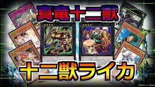 遊戯王ads 十二獣ライカ搭載型 真竜十二獣バオバブーン Ygopro Youtube 遊戯王ads 十二獣ライカ搭載型 真竜十二獣バオバブーン Ygopro Youtube