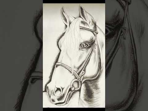 رسم حصان بالرصاص