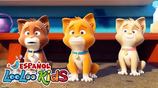 Tres Gatitos  Canciones Infantiles para niños  LooLoo Kids  Baile para ninos