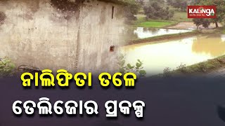 Reporter Special: Uncertain Future Of Telijore Irrigation Project In Sundergarh Dist || KalingaTV