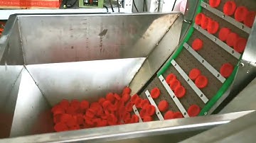 fully automatic caps wadding lining machine foam tapes and aluminum roll foils  at the same time cut