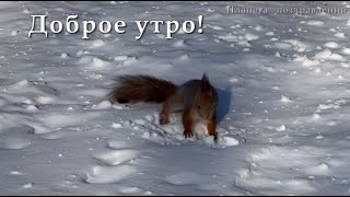 Доброе утро  Пожелания доброго утра