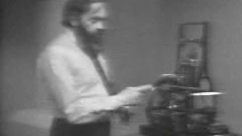 Feedback / Stafford Beer