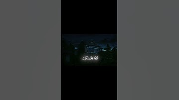 سورة النمل || #المنشاوي