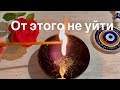 Срочно важно знать 👸 ￼ что неизбежно в твоей жизни ? ￼ гадание на воске