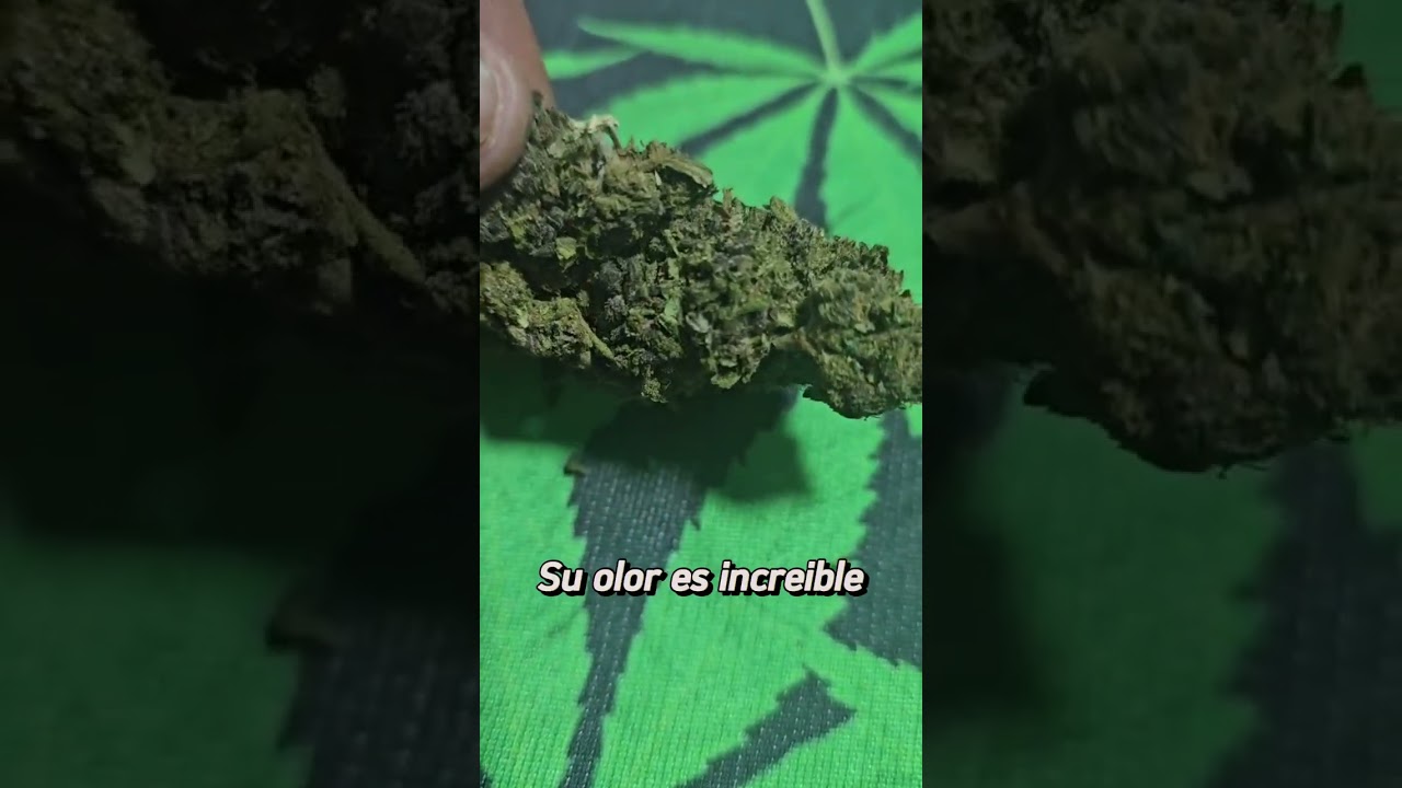 Unboxing Cbd-barato.shop