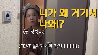 [VLOG] 니가 왜 거기서 나와!? (feat. 아내 몰래 부산 급습, 찐당황)