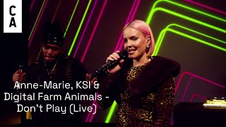 Video-Miniaturansicht von „Anne-Marie, KSI & Digital Farm Animals Performing ‘Don’t Play’ | Cool Accidents“