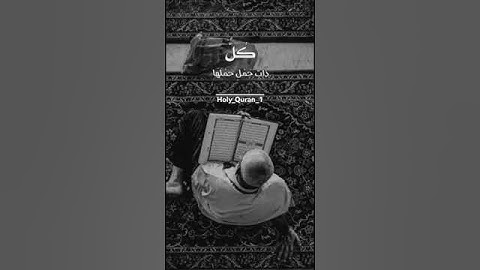 يا أيها الناس اتقو ربكم | صوت يريح القلب #quran #foryou #fyp #fypage #تلاوة_خاشعة #اجر_لي_ولك #قرآن