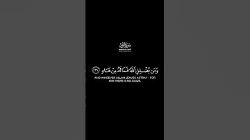 أليس الله بكاف عبده | كرومات قرآن كريم بصوت #ياسر_الدوسري | #سورة_الزمر