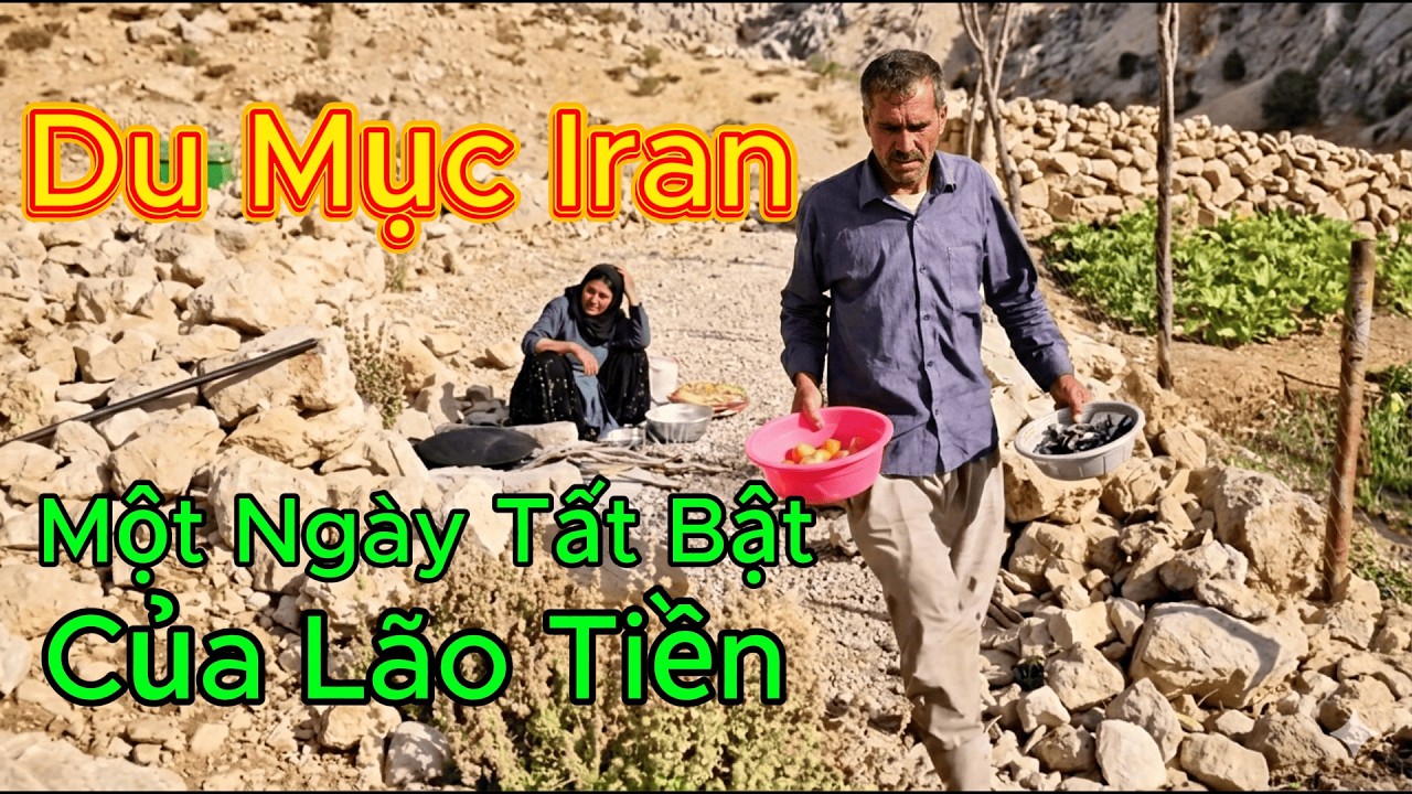 Du Mục Iran: Một Ngày Lao Động Không Ngơi Tay Của Lão Tiền