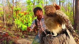 Good video A man is surprised to see an owl.#bird #eagle #beautiful #eggs ❤❤❤