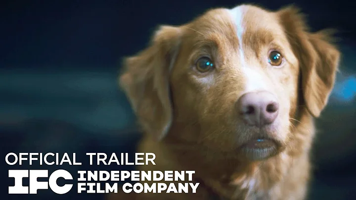 Good Boy - Official Trailer | HD | IFC Films