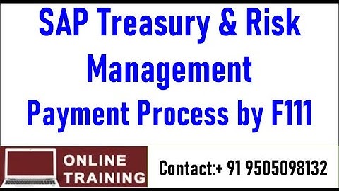 SAP S4HANA Treasury and Risk Management|| Deal Creation and Payment through F111|| In English