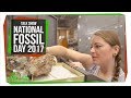 National Fossil Day: SciShow Talk Show