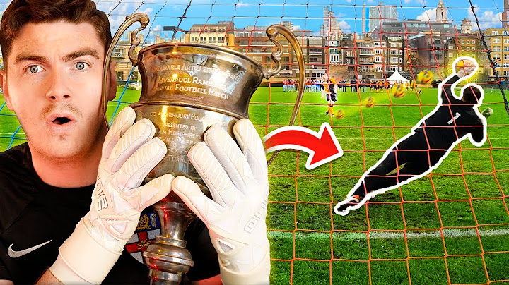 Can I SAVE A PENALTY to WIN THE CUP?