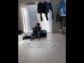 妹がパパから怒られそうになったらすかさず止めに入る兄が・・・