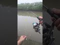 Kanama Smart Bait - Bring Dead Bait to Life.