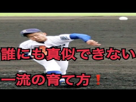 寺島成輝　履正社　父親が明かすドラ一候補の育て方　高校野球　左腕