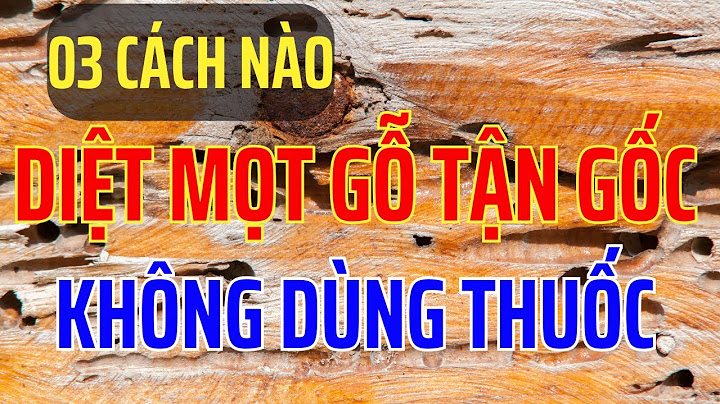 Hướng dẫn cách dùng thuốc diệt mọt gỗ