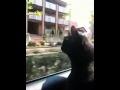 つくばの風