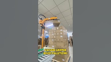 Vacuum Gripper Boxes Palletizing 😎 #palletizer #depalletizing #automation #columnpalletizer#robot