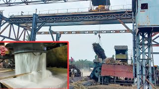 How To Manufacturing Sugar From Sugarcane In Sugar Mill With All Process 2021