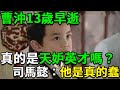 曹沖絕頂聰明卻13歲早逝 真的是天妒英才嗎 司馬懿 他的愚蠢害了自己 曹沖絕頂聰明卻13歲早逝 真的是天妒英才嗎 司馬懿 他的愚蠢害了自己