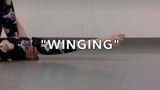 Tips for Winging your Feet