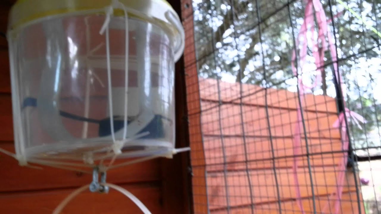 Auto chicken swing door using weight and pulley system (1of 2) in