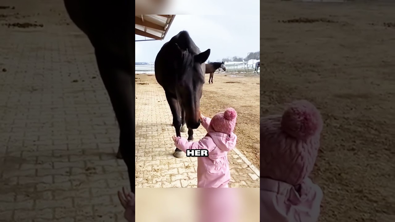 Child's bond with horse is heartwarming ❤️