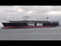 YangMing Marine Transport｢YM WONDERLAND 景明｣ 陽明海運 巨大コンテナ船