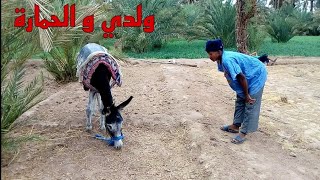 اتحداك الا تضحك مع سكيتش ولدي و الحمارة 😂 فكاهة مغربية