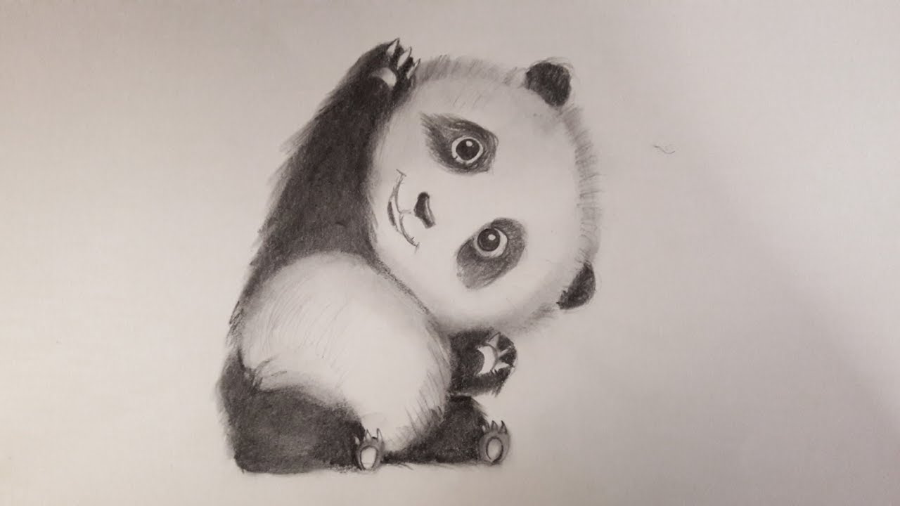 Art by Blessing Rwodzi - Baby panda. One of the cutest drawings i have done  to date, charcoal drawing on sinarkote. | Facebook